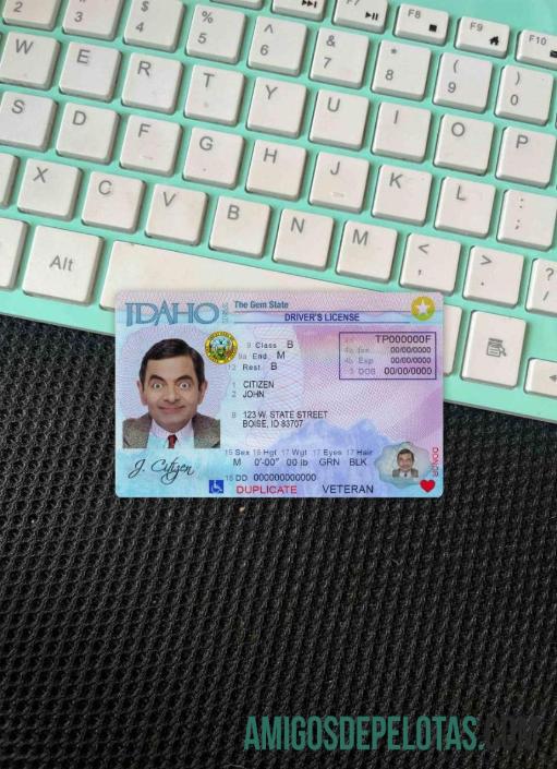 EUA Idaho DL fotovisual frontal exemplo real